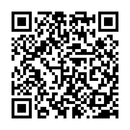 QR code for 691119