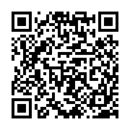 QR code for 691217