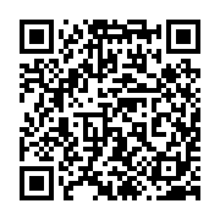QR code for 691291