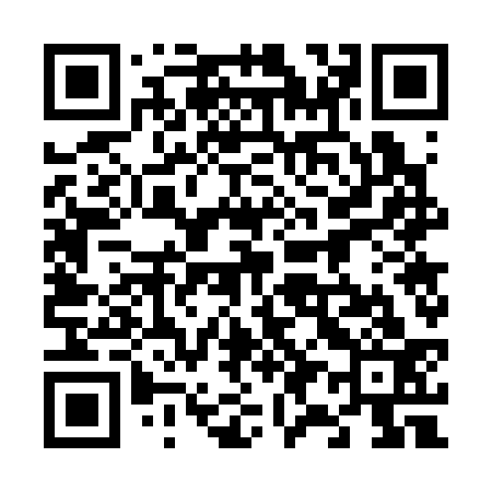 QR code for 697333