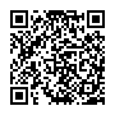 QR code for 698291