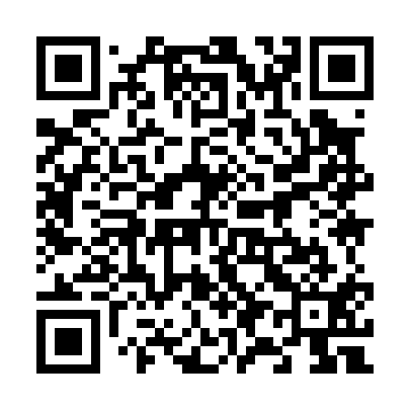 QR code for 699011