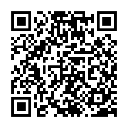 QR code for 699125