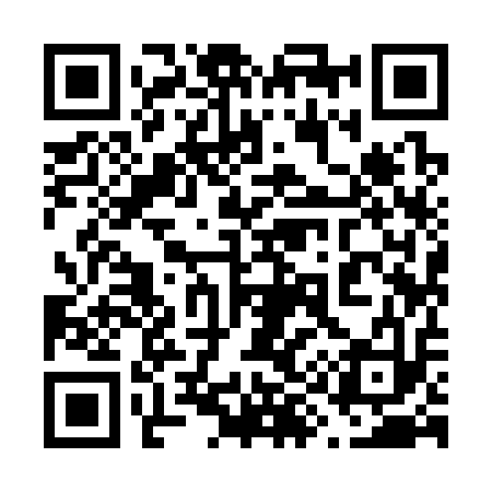 QR code for 699313