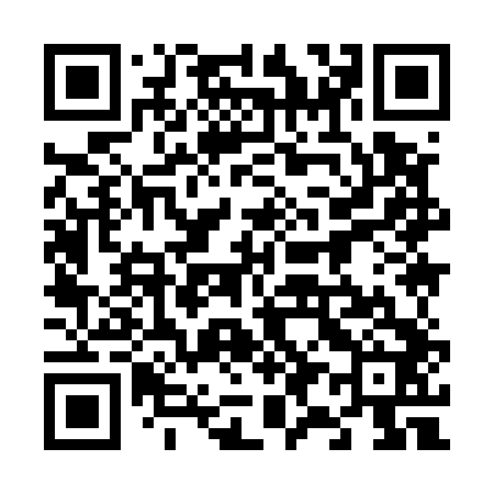 QR code for 699542