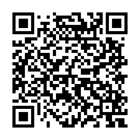 QR code for 699545