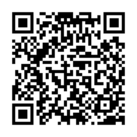 QR code for 699700