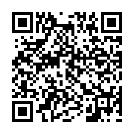 QR code for 699838