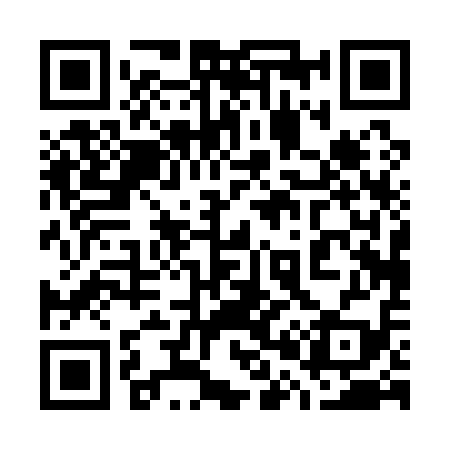 QR code for 700119