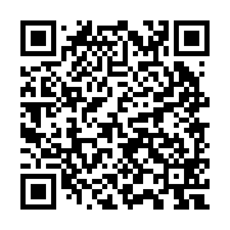 QR code for 700299