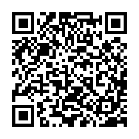 QR code for 700595