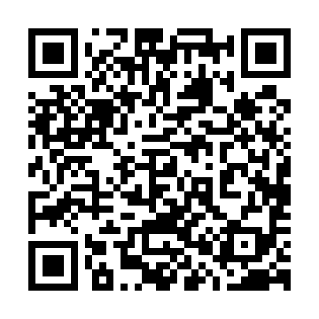 QR code for 700599