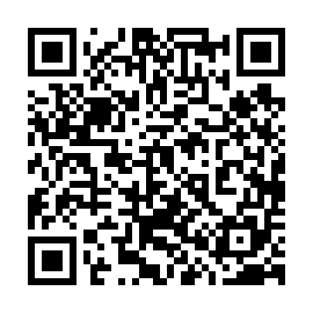 QR code for 700655