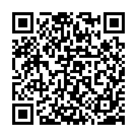 QR code for 717317