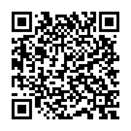 QR code for 725533