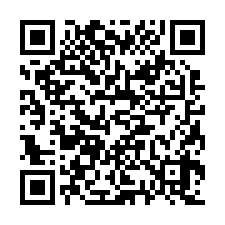 QR code for 733238
