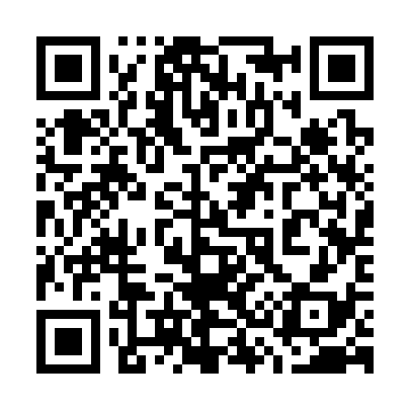 QR code for 733338