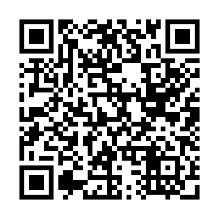 QR code for 733381