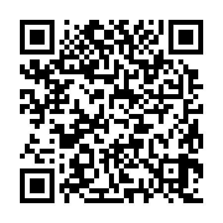QR code for 733389