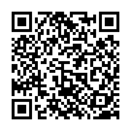 QR code for 733728