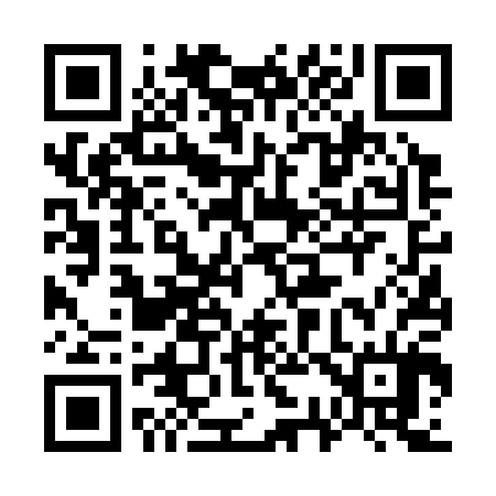 QR code for 736304