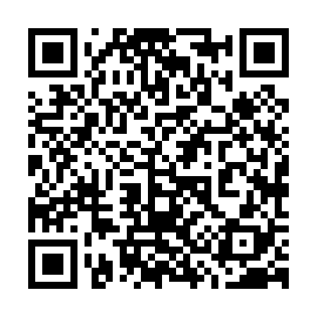 QR code for 738028