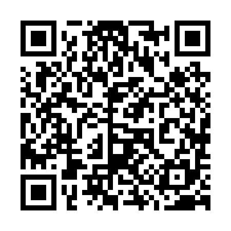 QR code for 738295