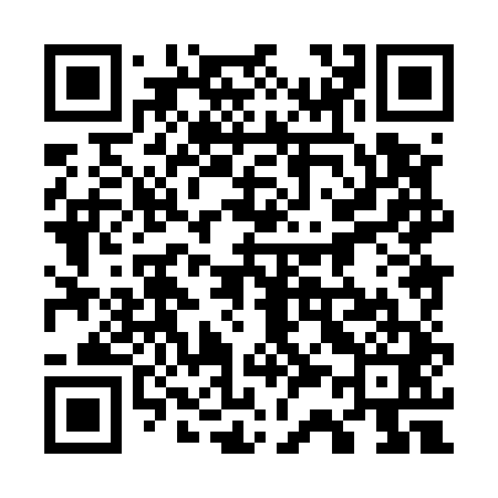 QR code for 738541