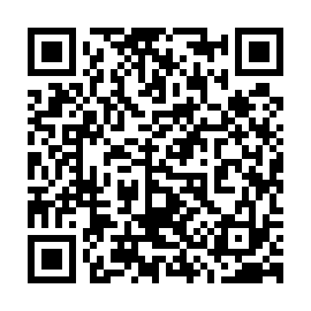 QR code for 739533