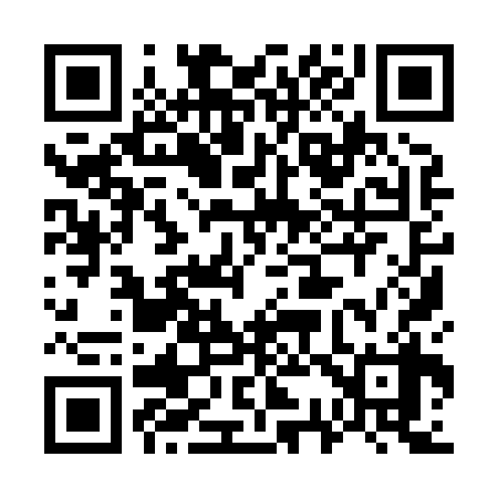 QR code for 739838