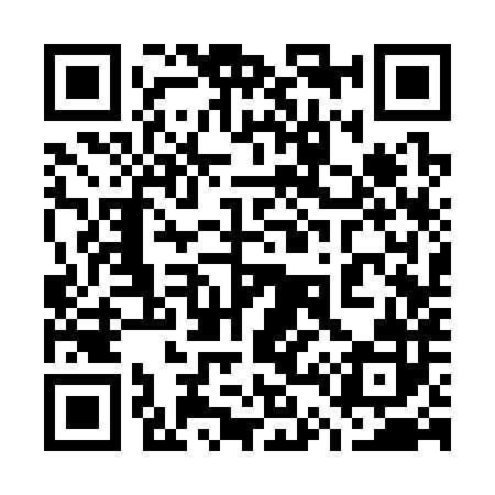 QR code for 743382