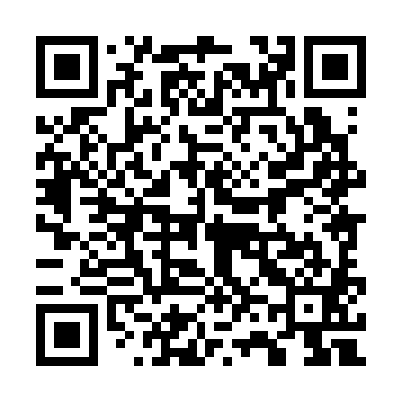 QR code for 768381