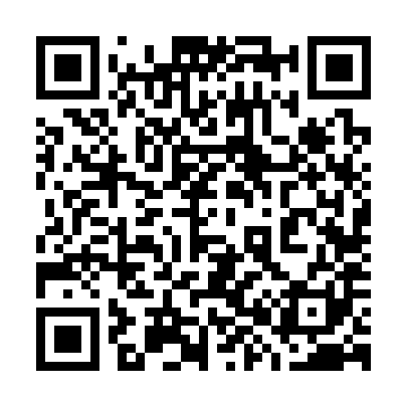 QR code for 786381