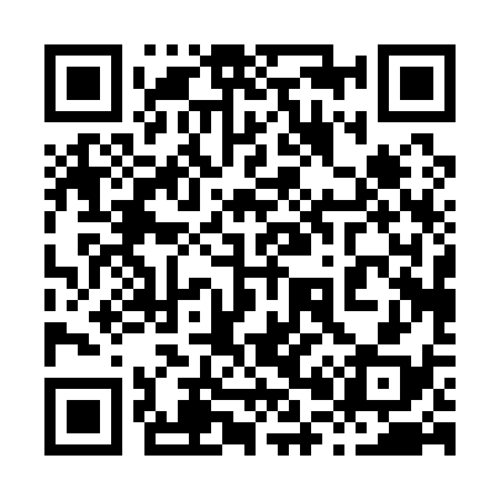 QR code for 800138