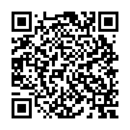 QR code for 811393