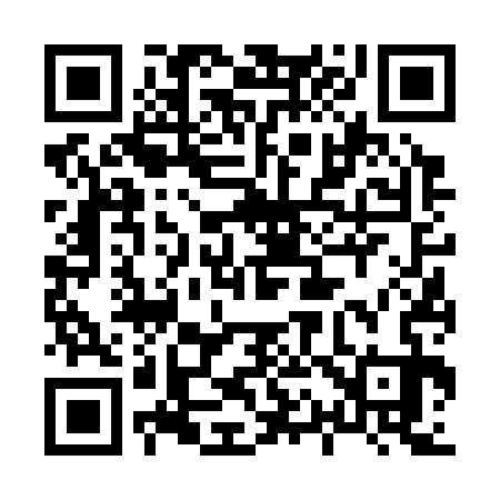 QR code for 816333