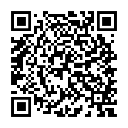 QR code for 825381