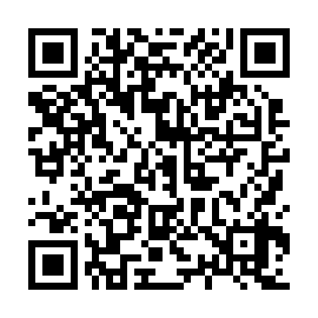 QR code for 838238
