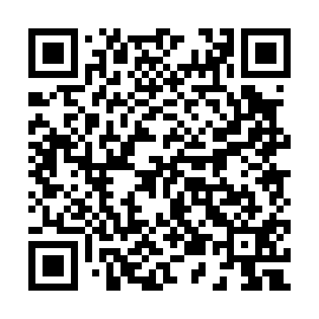 QR code for 850011