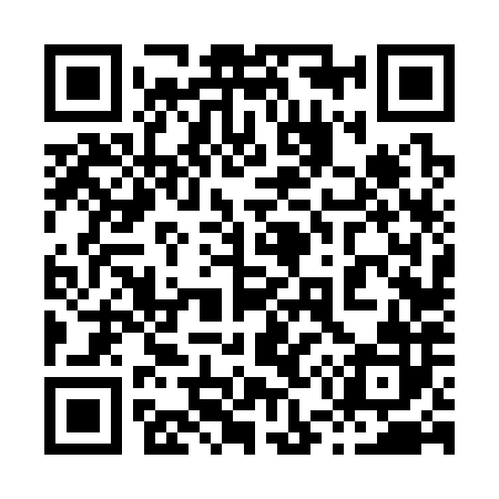 QR code for 856382