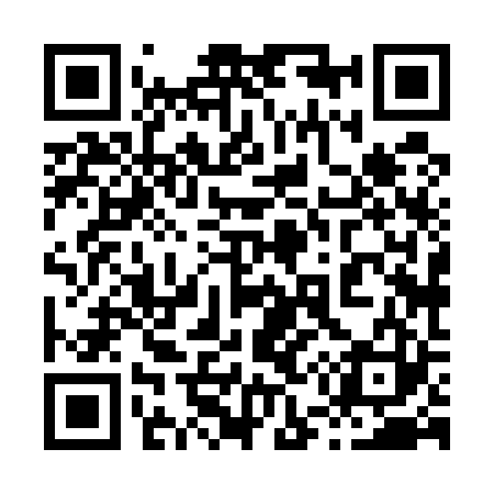 QR code for 858523