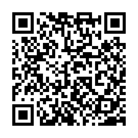 QR code for 863228