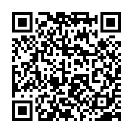 QR code for 863811