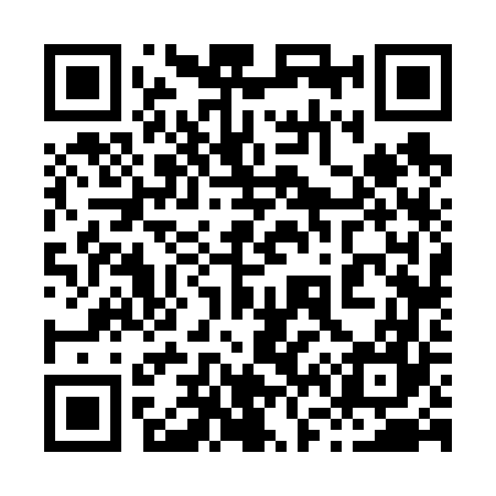 QR code for 866667