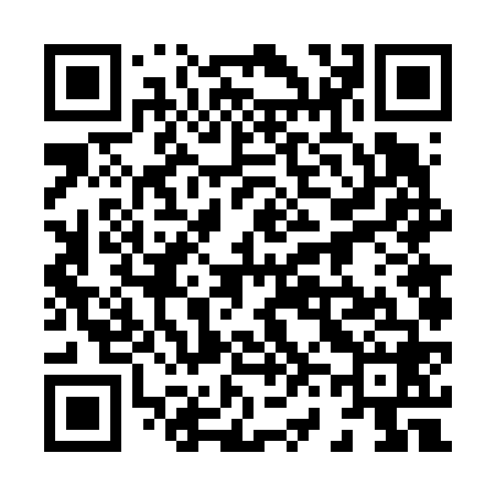 QR code for 866668