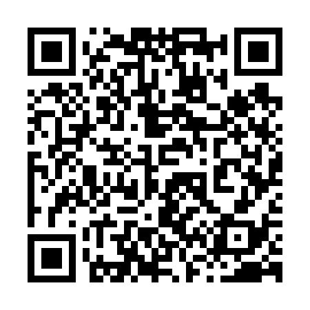 QR code for 867638