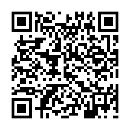 QR code for 868155