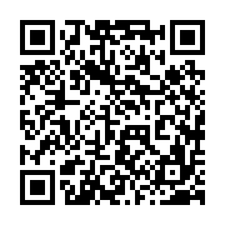QR code for 868216