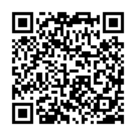 QR code for 868218