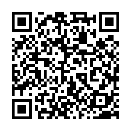 QR code for 868538